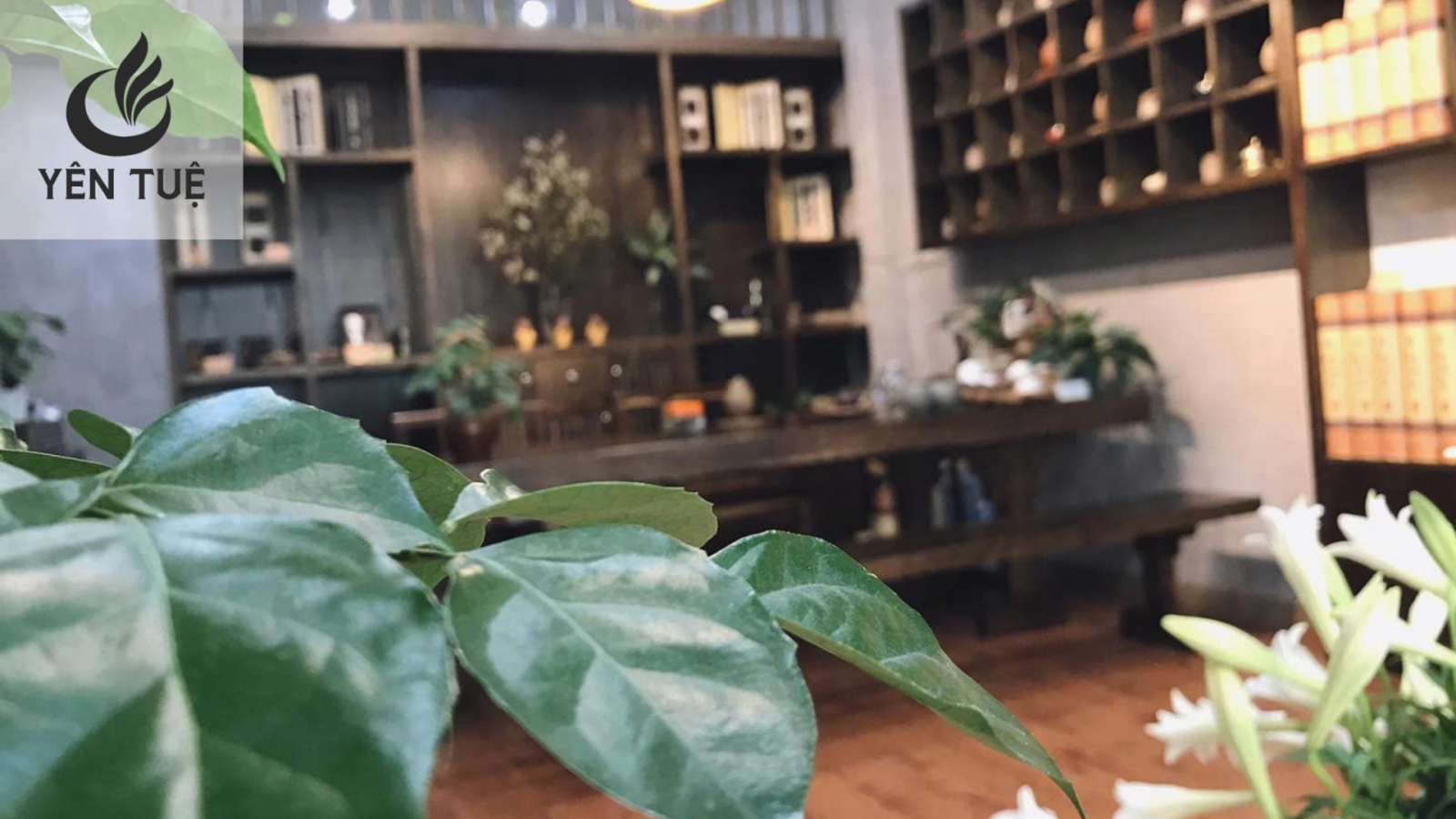 Trầm hương Yên Tuệ nhang trầm sạch