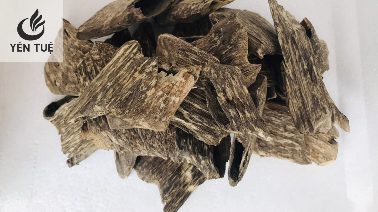 Trầm hương trong lịch sử 