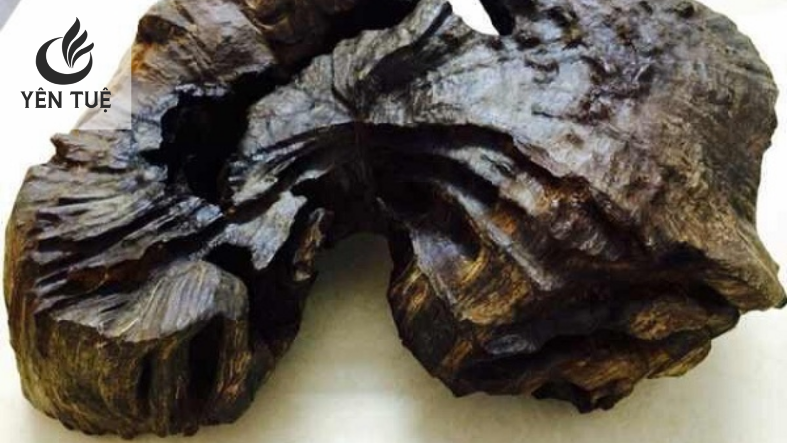 Giá Kỳ Nam ở Việt Nam 