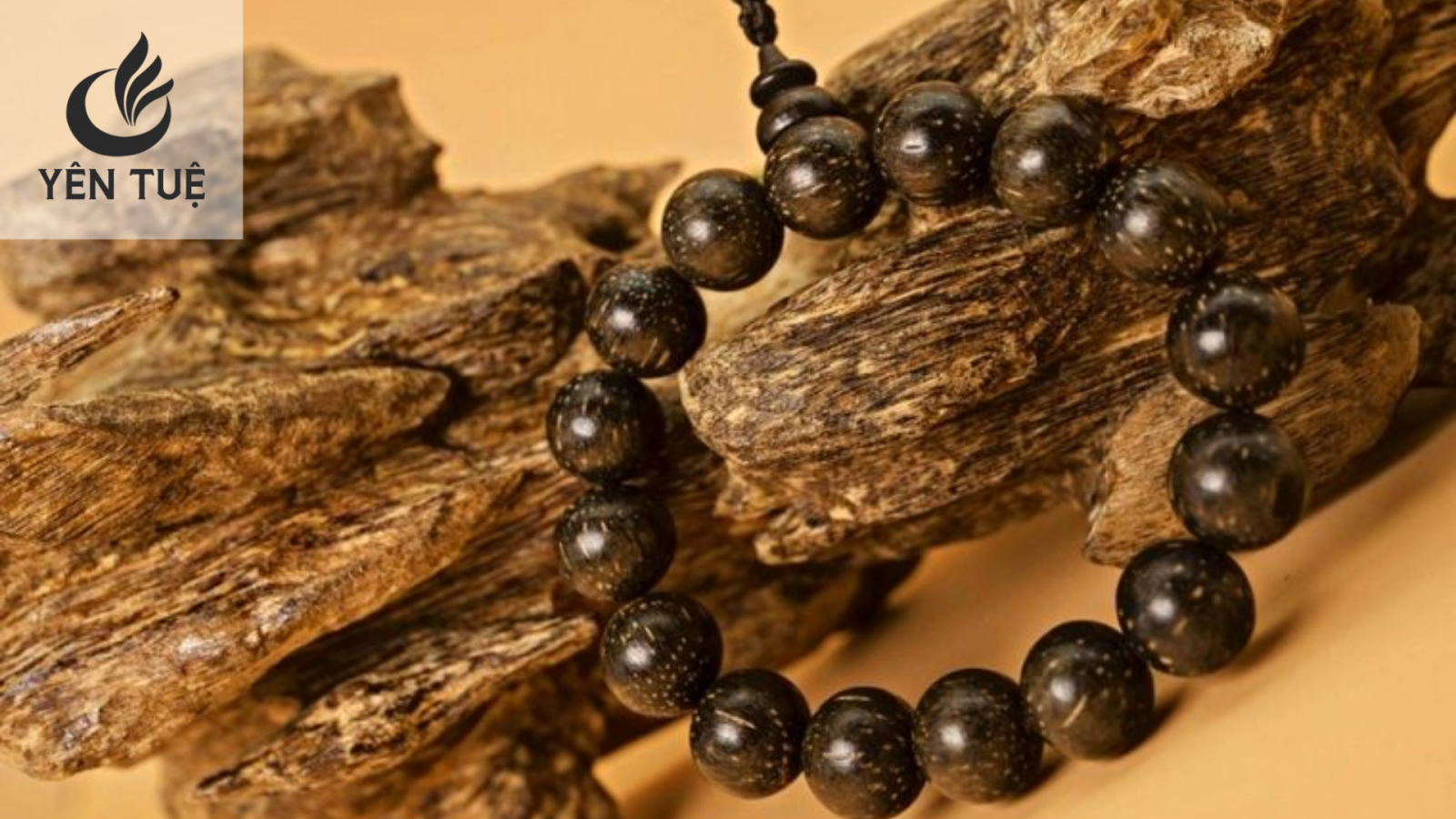 So sánh trầm hương với các loại gỗ quý khác ở Việt Nam 