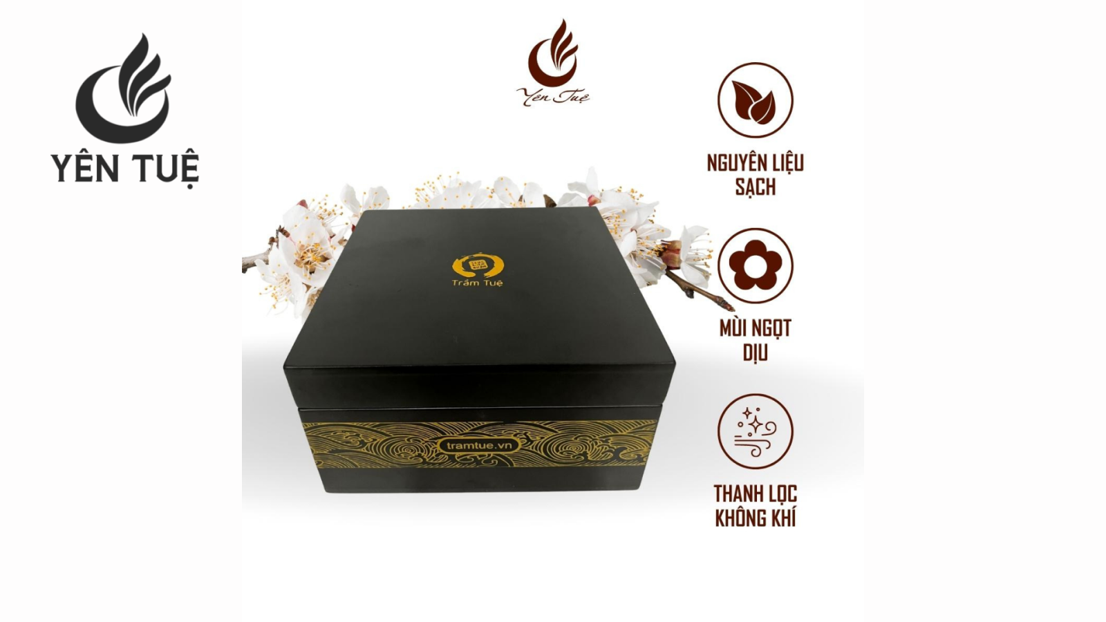 Nụ trầm kiến 64 viên Yên Tuệ