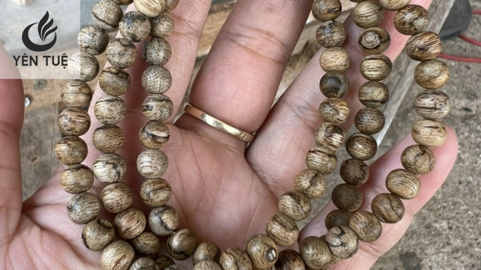 Nguồn gốc của nhịp bông 