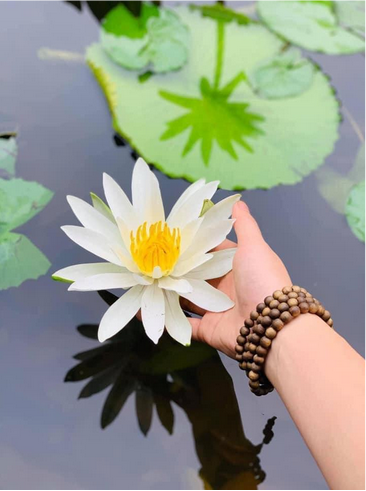 Đeo vòng 108 hạt ở tay phải