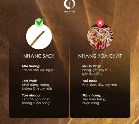 Nhang sạch Trầm Tuệ dòng tiêu chuẩn hộp 200 nén