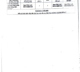 Trầm Nụ Sạch Trầm Tuệ Loại Tiêu Chuẩn 22 viên _ Trầm Sạch Không Hóa Chất, Mùi Thơm Thanh Dịu, Cháy Lâu